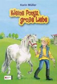 Kleine Ponys, große Liebe / Die Ponys vom Käuzchenhof Bd.1-3