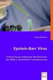 Epstein-Barr Virus