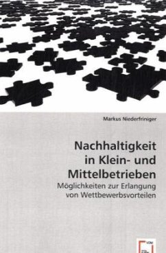Nachhaltigkeit in Klein- und Mittelbetrieben - Niederfriniger, Markus