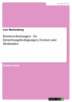 Karsterscheinungen - Zu Entstehungsbedingungen, Formen und Merkmalen - Wartenberg, Lars
