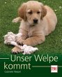 Unser Welpe kommt - Bild 1