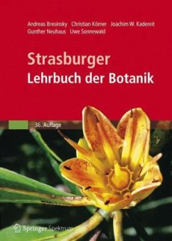 Strasburger Lehrbuch der Botanik - Bresinsky, Andreas / Körner, Christian / Kadereit, Joachim W. / Neuhaus, Gunther / Sonnewald, Uwe / Jarosch, B. / Strasburger, E. (Begr.)