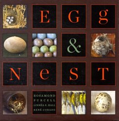 Cover Egg & Nest