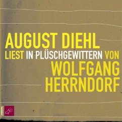 In Plüschgewittern, 3 Audio-CDs - Herrndorf, Wolfgang