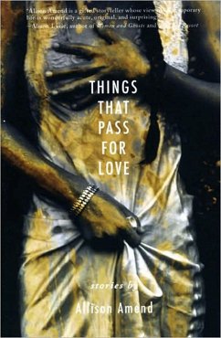 Things That Pass for Love - Amend, Allison