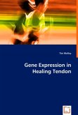 Gene Expression in Healing Tendon