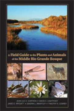A Field Guide to the Plants and Animals of the Middle Rio Grande Bosque - Cartron, Jean-Luc E; Lightfoot, David C; Mygatt, Jane E; Brantley, Sandra L; Lowrey, Timothy K