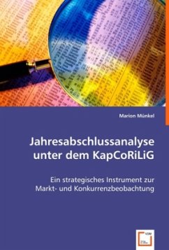 Cover Jahresabschlussanalyse unter dem KapCoRiLiG