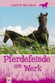 Pferdefeinde am Werk