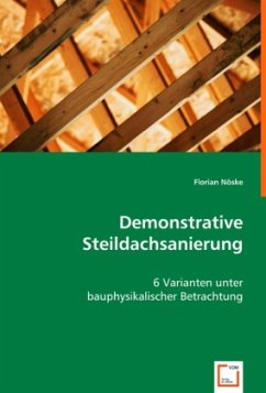 Cover Demonstrative Steildachsanierung