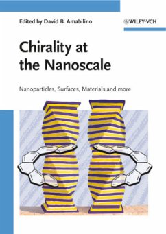 Chirality at the Nanoscale - Amabilino, David B. (ed.)