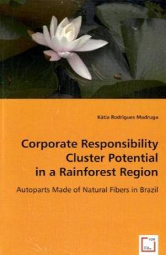 Corporate Responsibility Cluster Potential in a Rainforest Region - Rodrigues Madruga, Kátia