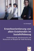 Erwerbsorientierung von allein Erziehenden im Sozialhilfebezug Erwerbsorientierung von allein Erziehenden im Sozialhilfebezug
