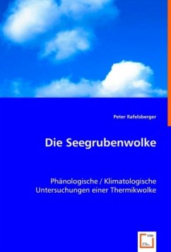 Die Seegrubenwolke - Rafelsberger, Peter