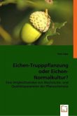 Eichen-Trupppflanzung oder Eichen-Normalkultur?