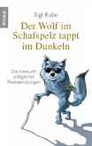 Der Wolf im Schafspelz tappt im Dunkeln