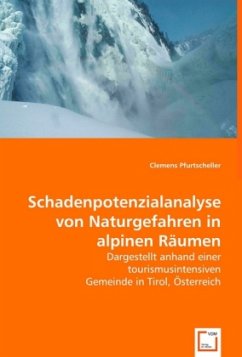 Schadenpotenzialanalyse von Naturgefahren in alpinen Räumen - Pfurtscheller, Clemens