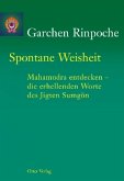 Spontane Weisheit