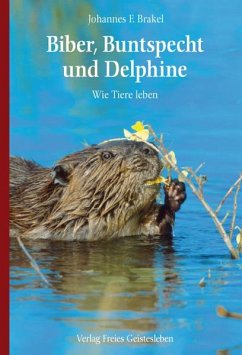 Biber, Buntspecht und Delphine - Brakel, Johannes F.