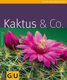 Kaktus & Co.