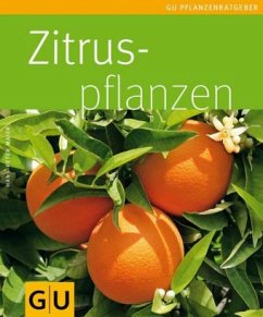 Zitruspflanzen - Maier, Hans-Peter