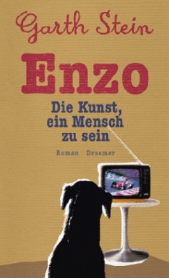 Cover Enzo. Die Kunst, ein Mensch zu sein