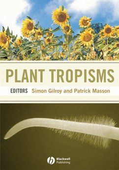 Cover Plant Tropisms