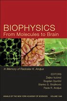 Biophysics from Molecules to Brain - Vucinic, Zeljko