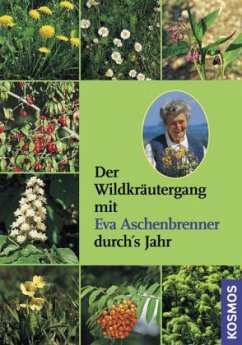 Der Wildkräutergang mit Eva Aschenbrenner durch's Jahr, m. Audio-CD - Aschenbrenner, Eva