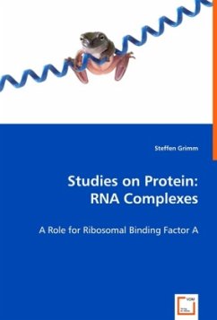 Studies on Protein: RNA Complexes - Grimm, Steffen