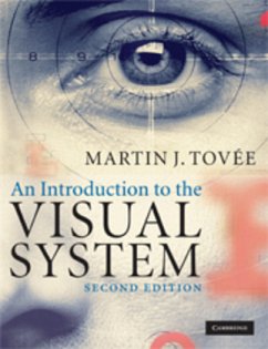 An Introduction to the Visual System - Tovee, Martin J.