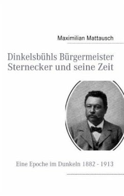 Dinkelsbühls Bürgermeister Sternecker und seine Zeit - Mattausch, Maximilian