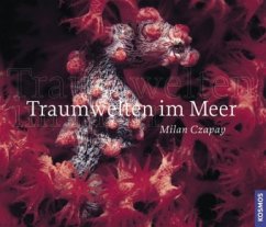 Cover Traumwelten im Meer
