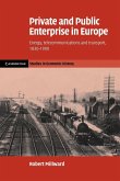 Private and Public Enterprise in Europe