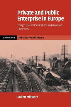 Private and Public Enterprise in Europe - Millward, Robert
