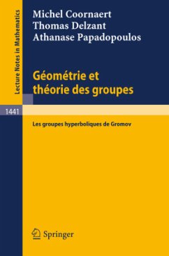 Geometrie et theorie des groupes - Coornaert, Michel;Delzant, Thomas;Papadopoulos, Athanase