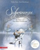 Schwanensee, m. Audio-CD