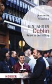 Ein Jahr in Dublin