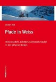 Pfade in Weiss