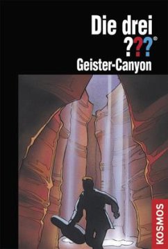 Geister-Canyon / Die drei Fragezeichen Bd.124