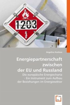 Energiepartnerschaft zwischen der EU und Russland - Kozlova, Angelina
