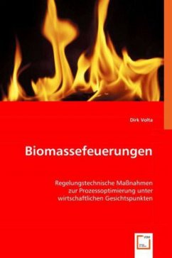 Cover Biomassefeuerungen