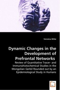 Dynamic Changes in the Development of Prefrontal Networks - Witte, Veronica