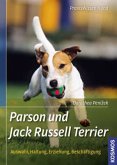 Parson und Jack Russell Terrier