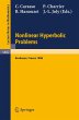 Nonlinear Hyperbolic Problems - Bild 1