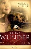 Kleine Wunder