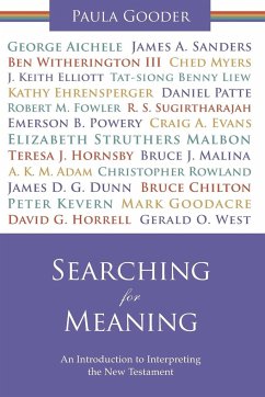 Searching for Meaning - Gooder, Paula