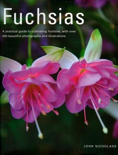 Fuchsias - Nicholass, John