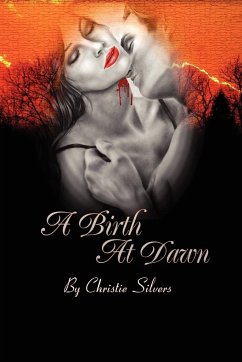 A Birth at Dawn - Silvers, Christie