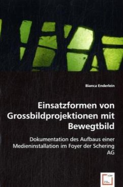 Einsatzformen von Grossbildprojektionen mit Bewegtbild - Enderlein, Bianca